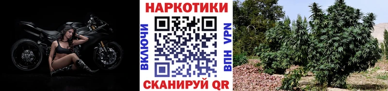 Где купить Ахтубинск СОЛЬ  Мефедрон  Галлюциногенные грибы  Канабис  Cocaine  Гашиш 