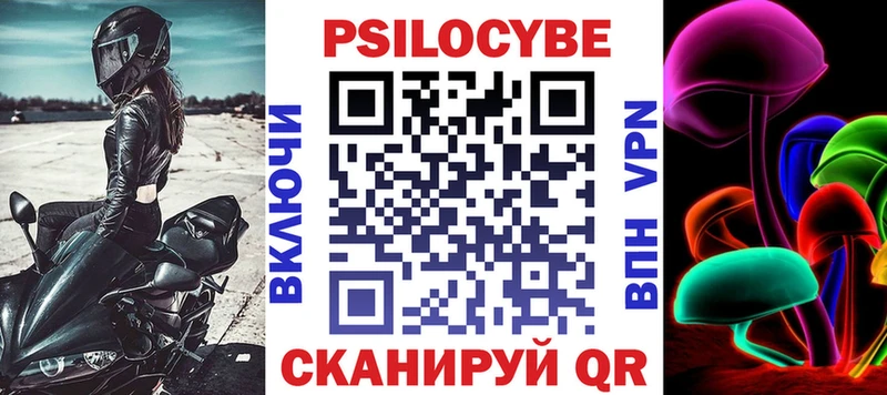 где купить наркоту  Ахтубинск  Галлюциногенные грибы Cubensis 